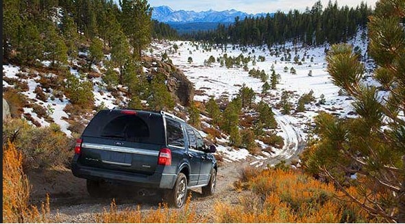 2017 Ford Expedition XLT Exterior Rear End
